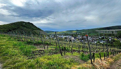 Blick auf Heppingen