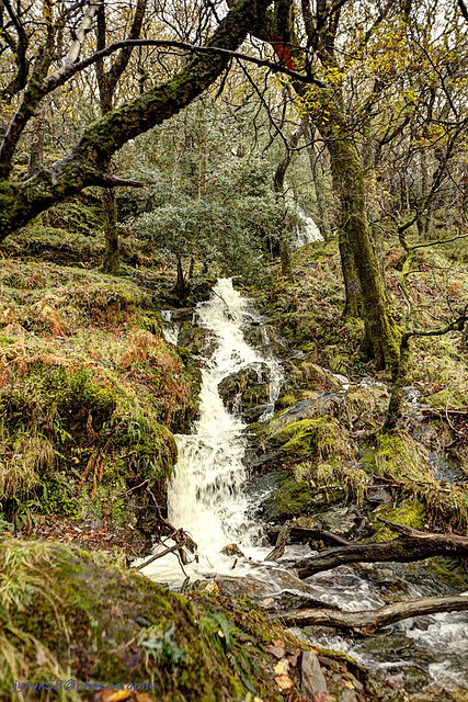 Glendalough 32