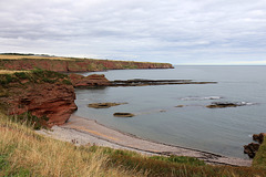 Arbroath. Seaton Cliffs Walk