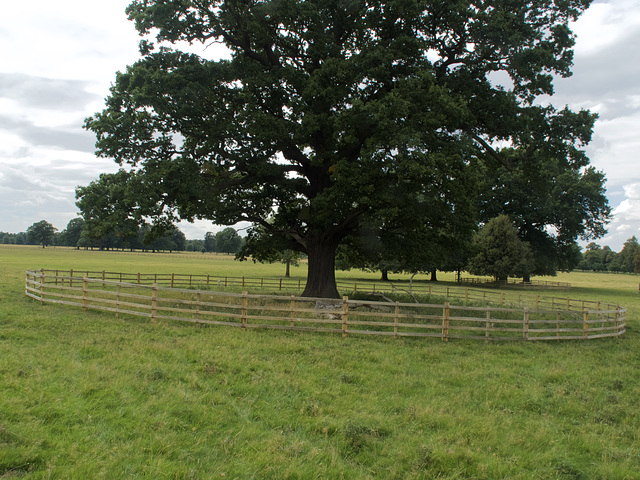 Ring Fenced HFF