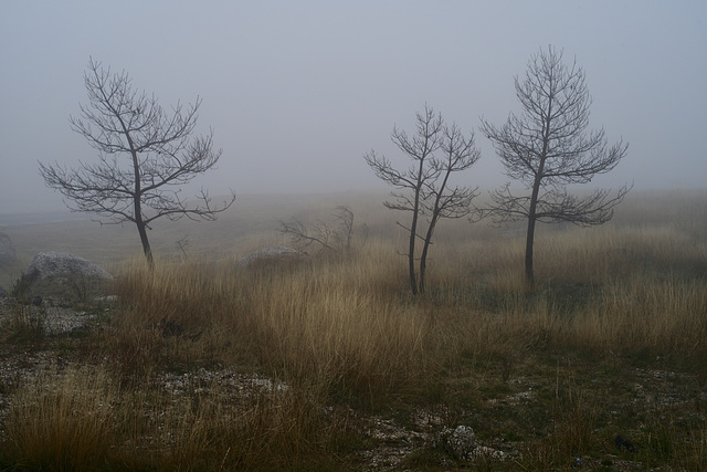 Serra da Estrela, magias e mistérios