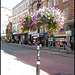 George Street blooms okay