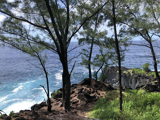 Au nord de Saint Philippe la Réunion