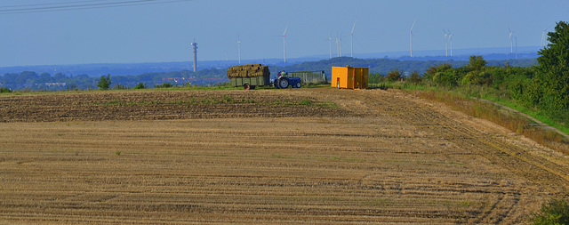 Harvest work