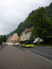 DSCN1871 Liechtenstein Bus Anstalt 8 (FL 2138) (operated by Ivo Matt A.G.)
