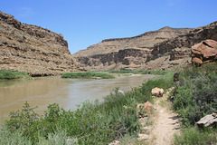 Green River