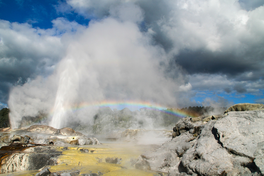 Pohutu geyser