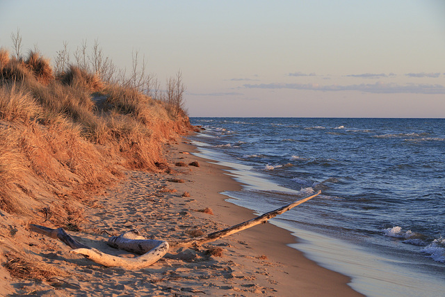 Little Sable Point