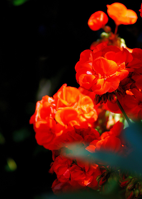 ... du rouge ... ... du rouge ...