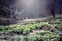 River Wye, Chee Dale (Scan from 1991)