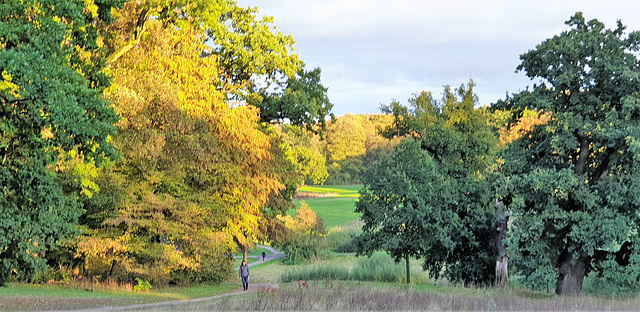 Jenischpark