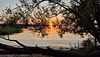 Sonnenuntergang am Schweriner Innensee