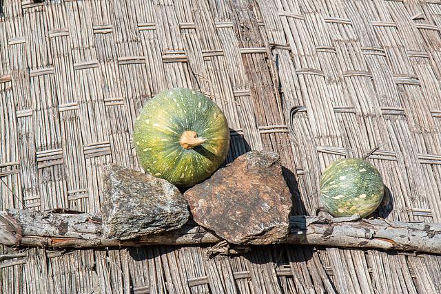 Roof Ripening