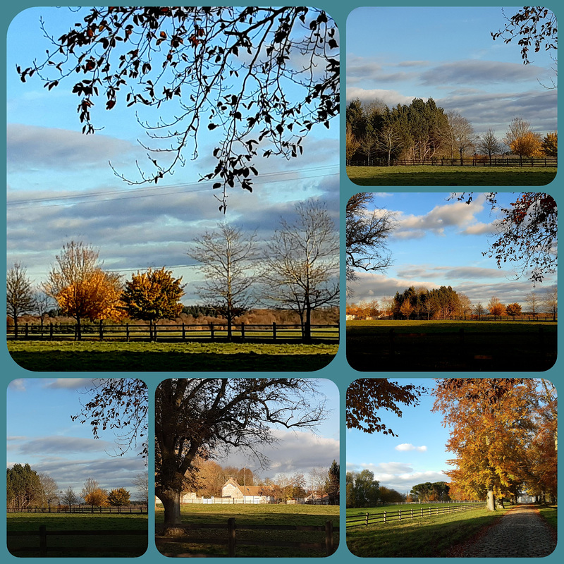 Tons d'automne