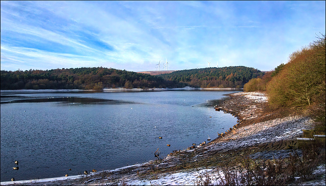 Ogden Water