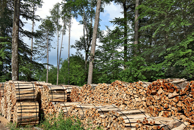 Randenturm Siblingen (15) - Holzlager am Parkplatz