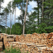 Randenturm Siblingen (15) - Holzlager am Parkplatz