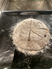 Banneton-proofed home baked wholemeal loaf