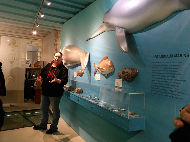 Exposition , à l’intérieur de la maison nature des Faluns à Tréfumel (22)