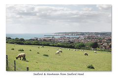 Seaford & Newhaven from Seaford Head - Sussex - 8.6.2015