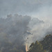 Forest Fire Extinguishing using Helicopter