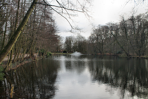 See im Volkspark (Alt-Marl) / 24.12.2016