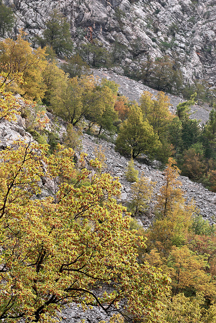 Nationalpark Paklenica - Der Weg von Anica kuk nach Starigrad (17) - Ein letzter Blick
