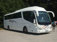 DSCF3191 Davian Coaches YN06 CKD at Leeds Castle - 6 Jul 2018