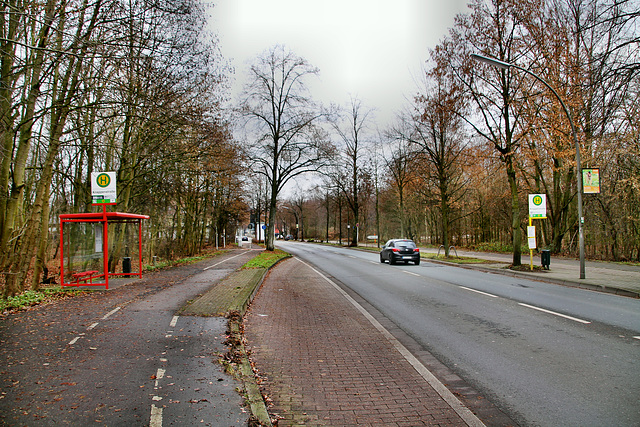 Carl-Duisberg-Straße (Marl-Hamm) / 12.12.2018