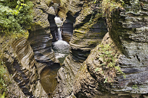 Spreading Out – Watkins Glen State Park, Watkins Glen, New York