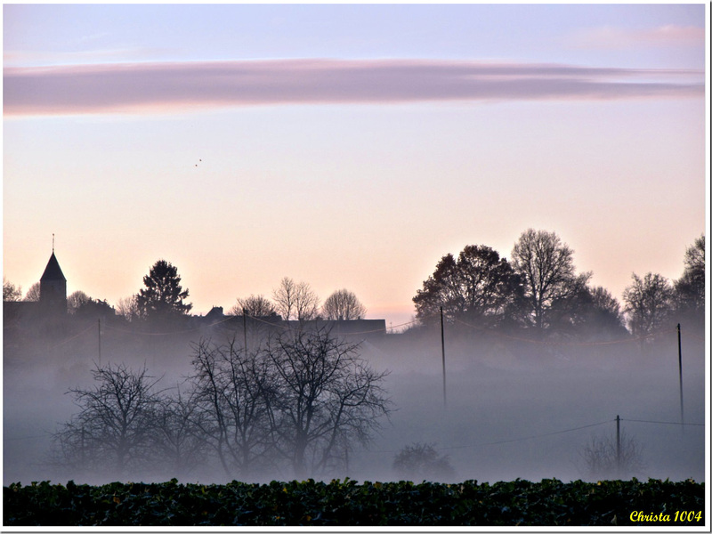 Misty morning