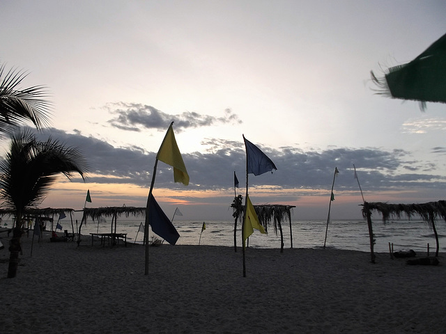 Drapeaux de plage / Beach flags