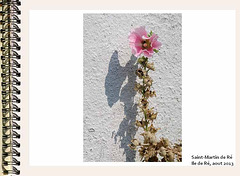ilere039