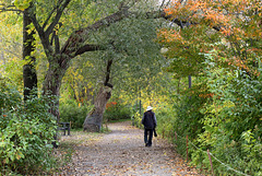 promenade d'automne