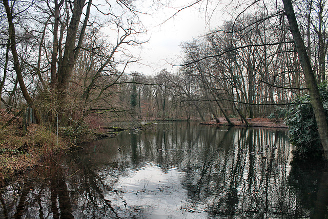 See im Volkspark (Alt-Marl) / 24.12.2016