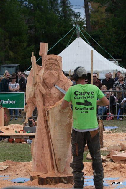 The Carrbridge World Chainsaw Carving Championship 2018