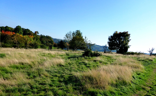 DE - Volkesfeld - Heidehimmel trail