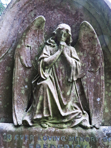 norwich cemetery, norfolk