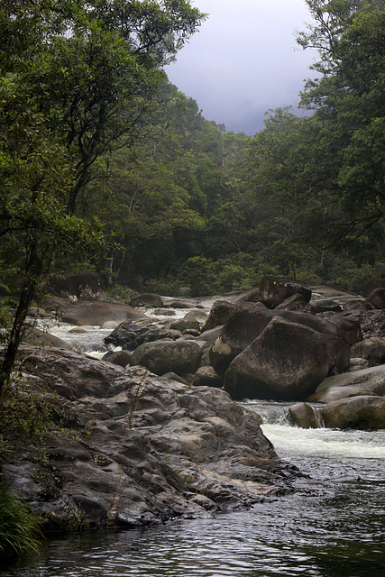 Mossman Gorge