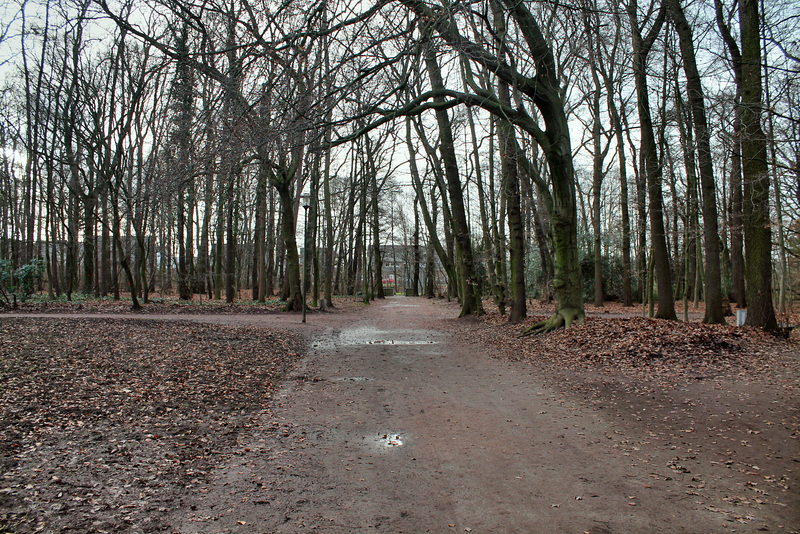 Volkspark (Alt-Marl) / 24.12.2016