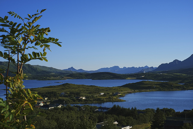 Lofoten evening 1