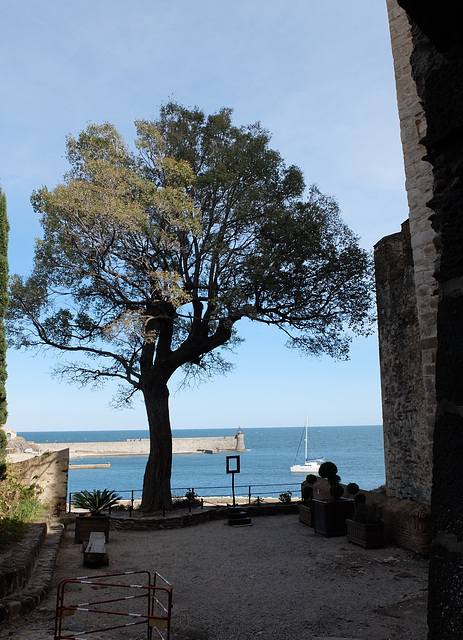 COLLIOURE