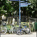 Magdalen Street signpost