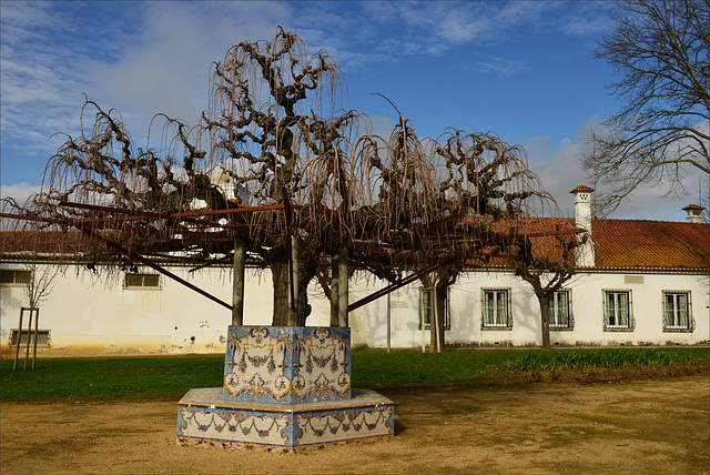 Santarém, Portas do Sol