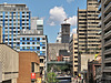 Elizabeth Street, Toronto