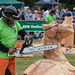 The Carrbridge World Chainsaw Carving Championship 2018