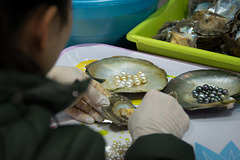 Herausnehmen der Perlen aus den Austern (© Buelipix)