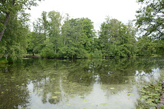 Sweden, Stockholm, The Pond in the Park of Drottningholm