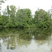 Sweden, Stockholm, The Pond in the Park of Drottningholm