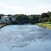 River Derwent At Cockermouth